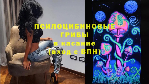 гашик Богородицк