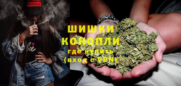 тгк Богданович
