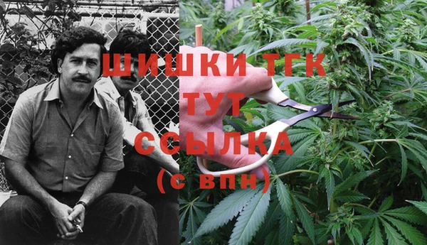 тгк Богданович