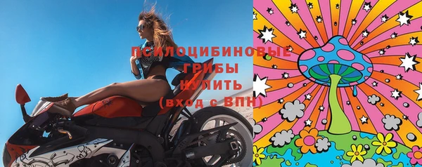 тгк Богданович