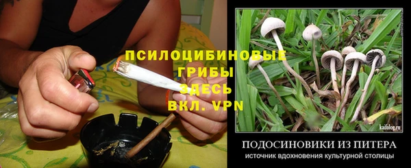 гашик Богородицк