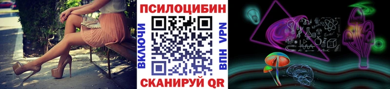 МЕГА вход  купить   Киреевск  Псилоцибиновые грибы GOLDEN TEACHER 